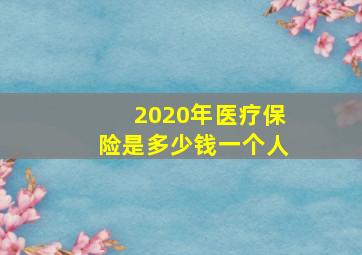 2020年医疗保险是多少钱一个人