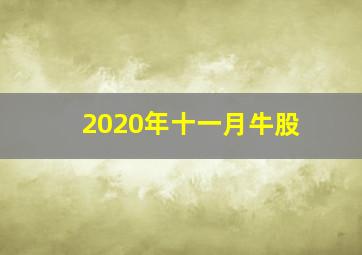 2020年十一月牛股