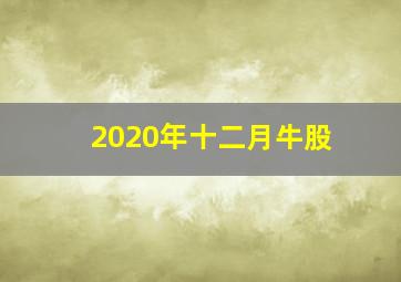 2020年十二月牛股