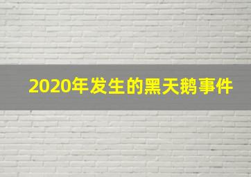 2020年发生的黑天鹅事件