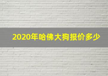 2020年哈佛大狗报价多少