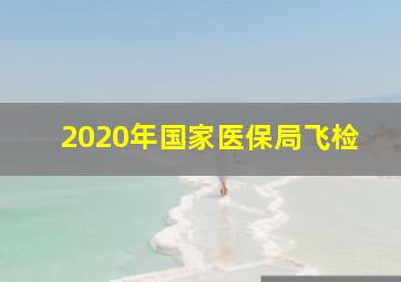 2020年国家医保局飞检