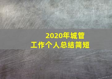 2020年城管工作个人总结简短