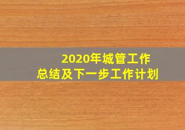 2020年城管工作总结及下一步工作计划