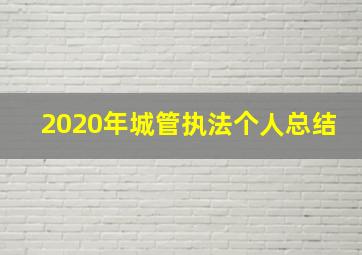 2020年城管执法个人总结