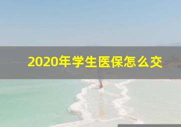 2020年学生医保怎么交