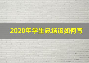 2020年学生总结该如何写