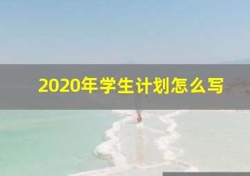 2020年学生计划怎么写