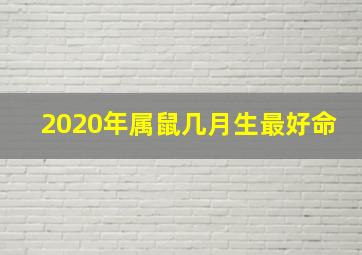 2020年属鼠几月生最好命