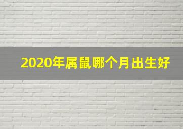 2020年属鼠哪个月出生好