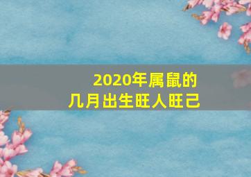 2020年属鼠的几月出生旺人旺己