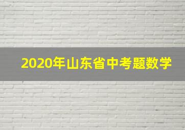 2020年山东省中考题数学