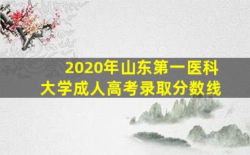 2020年山东第一医科大学成人高考录取分数线