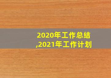 2020年工作总结,2021年工作计划