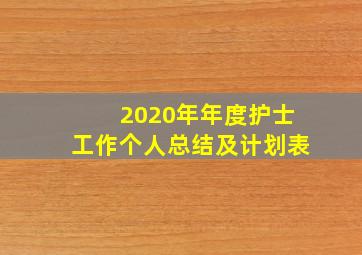 2020年年度护士工作个人总结及计划表