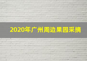 2020年广州周边果园采摘