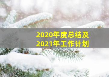 2020年度总结及2021年工作计划