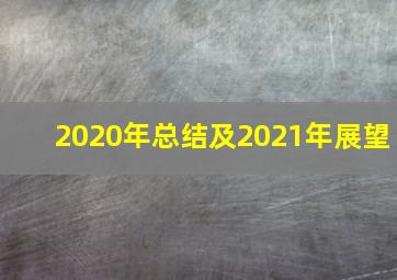 2020年总结及2021年展望