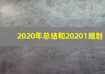 2020年总结和20201规划