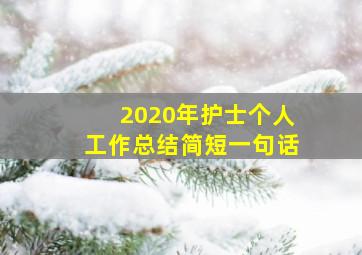 2020年护士个人工作总结简短一句话