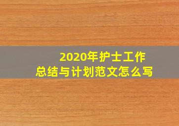 2020年护士工作总结与计划范文怎么写