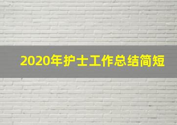 2020年护士工作总结简短