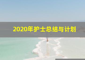 2020年护士总结与计划