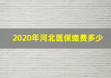 2020年河北医保缴费多少