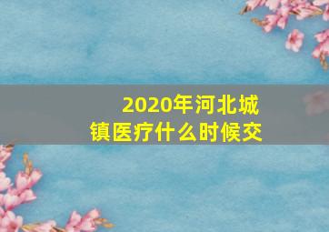 2020年河北城镇医疗什么时候交