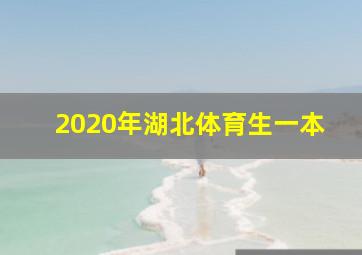 2020年湖北体育生一本