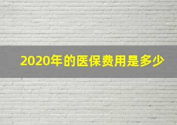 2020年的医保费用是多少