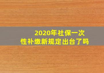 2020年社保一次性补缴新规定出台了吗