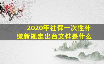 2020年社保一次性补缴新规定出台文件是什么