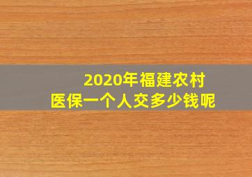 2020年福建农村医保一个人交多少钱呢