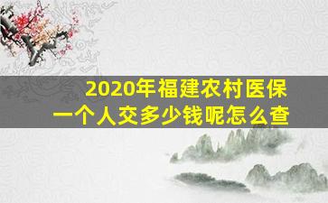 2020年福建农村医保一个人交多少钱呢怎么查