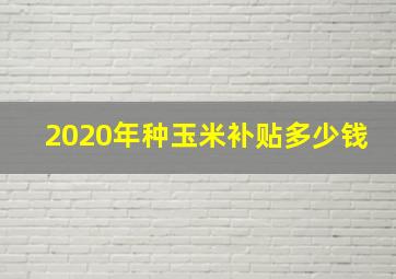 2020年种玉米补贴多少钱