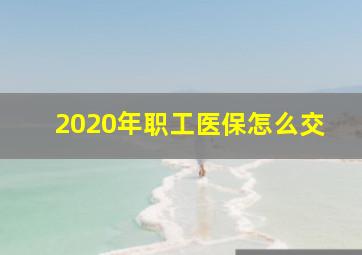 2020年职工医保怎么交