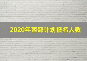 2020年西部计划报名人数