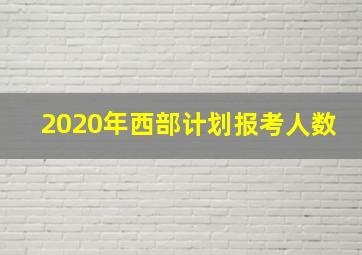 2020年西部计划报考人数