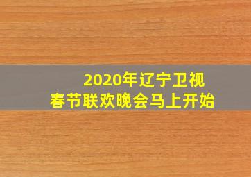 2020年辽宁卫视春节联欢晚会马上开始