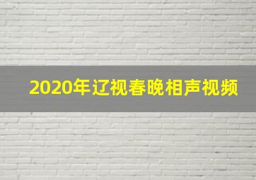 2020年辽视春晚相声视频