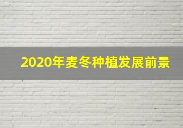 2020年麦冬种植发展前景