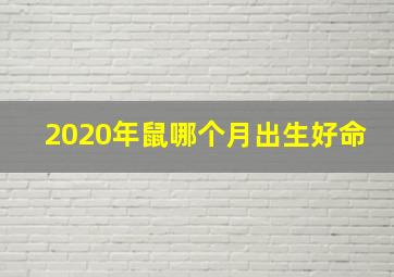 2020年鼠哪个月出生好命