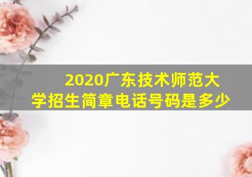 2020广东技术师范大学招生简章电话号码是多少