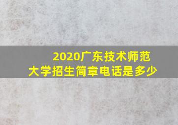 2020广东技术师范大学招生简章电话是多少