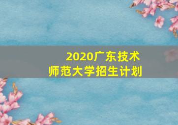 2020广东技术师范大学招生计划