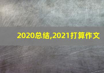 2020总结,2021打算作文