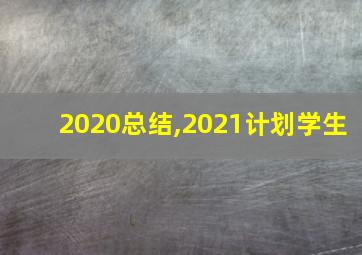 2020总结,2021计划学生