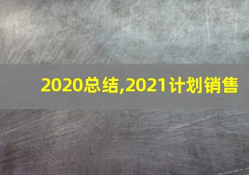 2020总结,2021计划销售