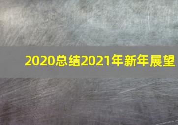 2020总结2021年新年展望